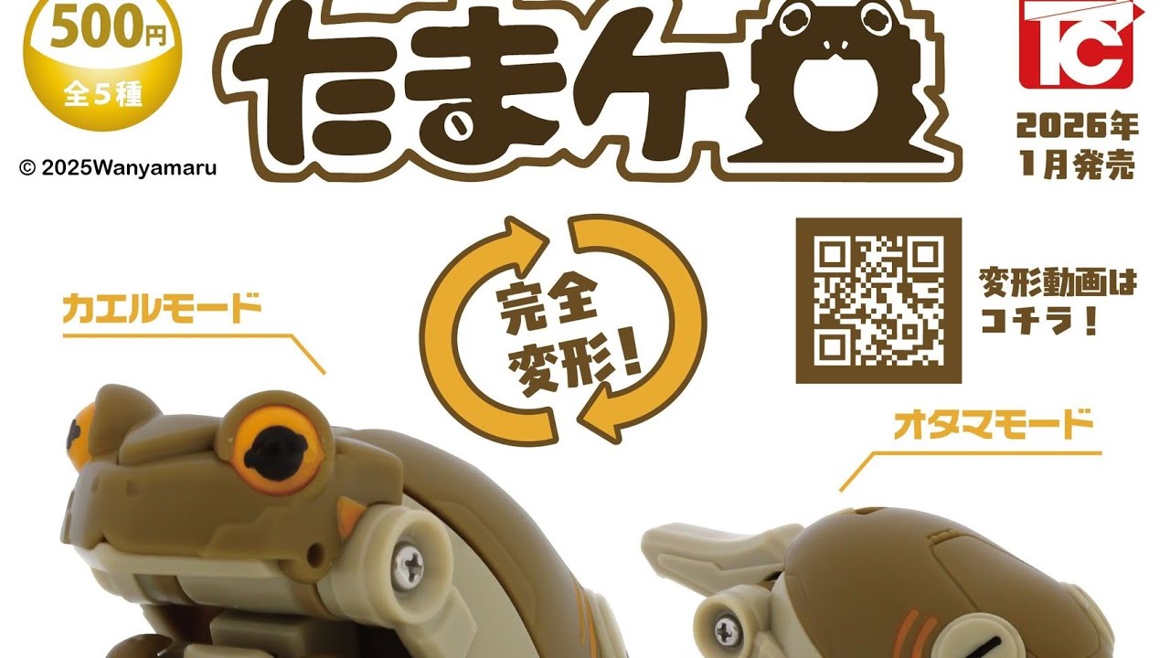 たまケロ コンプリート開封動画 トイズキャビン ガシャポン ガシャガシャ