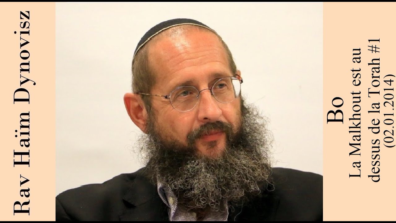 Rav 'Haïm Dynovisz - 15 Bo - La Malkhout est au dessus de la Torah #1