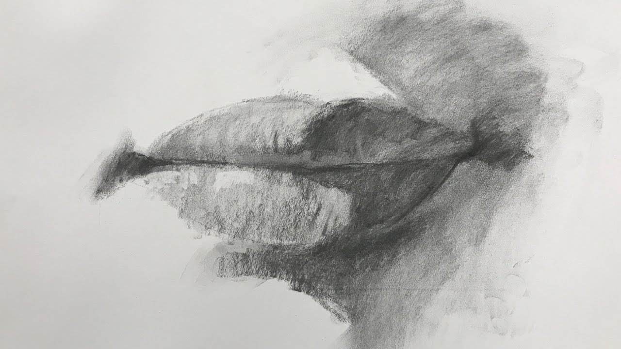 Charcoal Drawing of a Mouth for Beginners Step by Step
