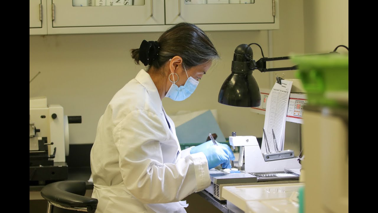 Inside Staten Island&rsquo;s only COVID-19 testing lab: 800+ results per day
