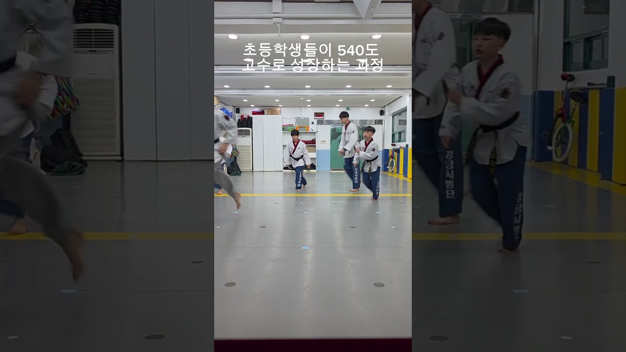 초등학생들이 540도 발차기로 고수가되는 과정