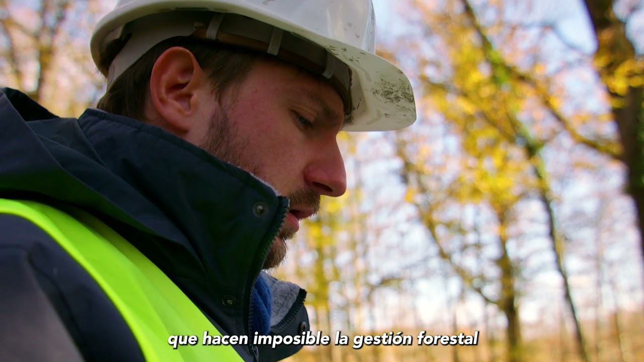 El efecto económico de una agrupación de propietarios forestales: un caso práctico