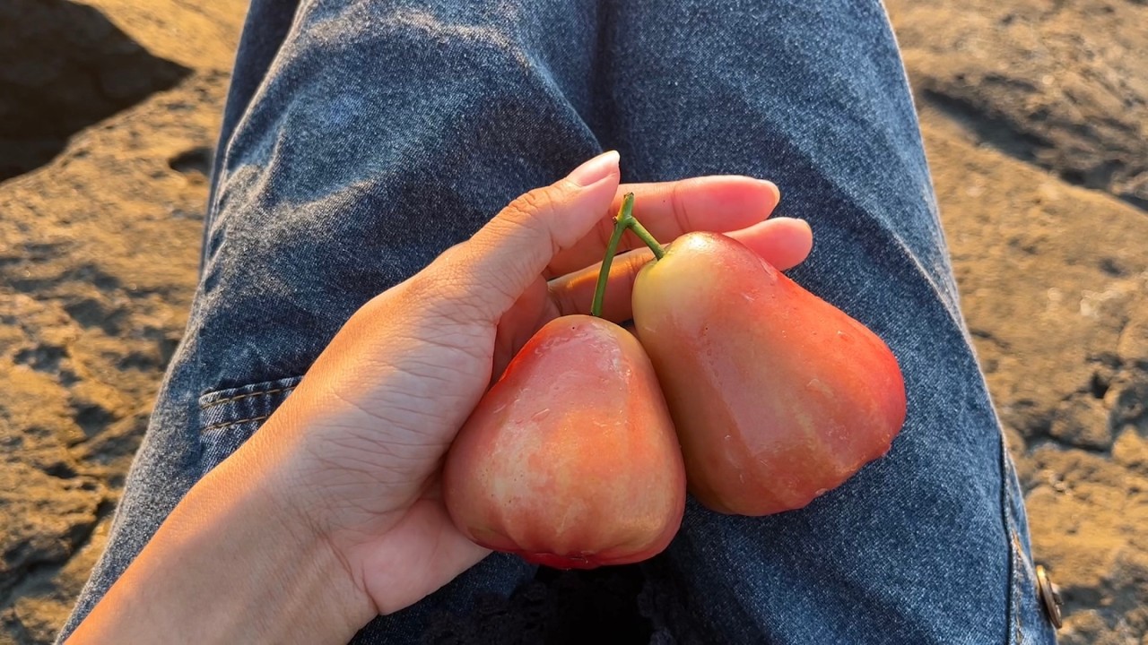 (ENG) Hidup di Aceh | pergi ke kondangan, pantai, dan banyak waktu di rumah