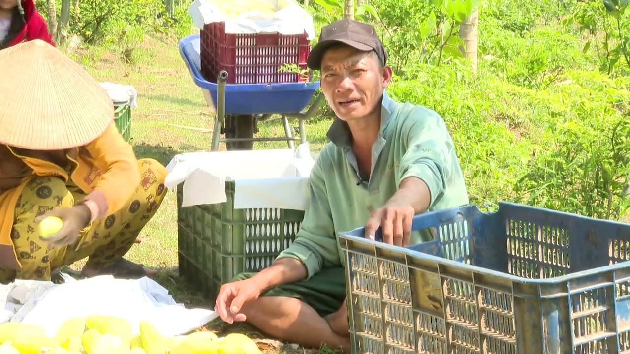 6 2  GOI NHO MIEN TAY PHUONG MAI