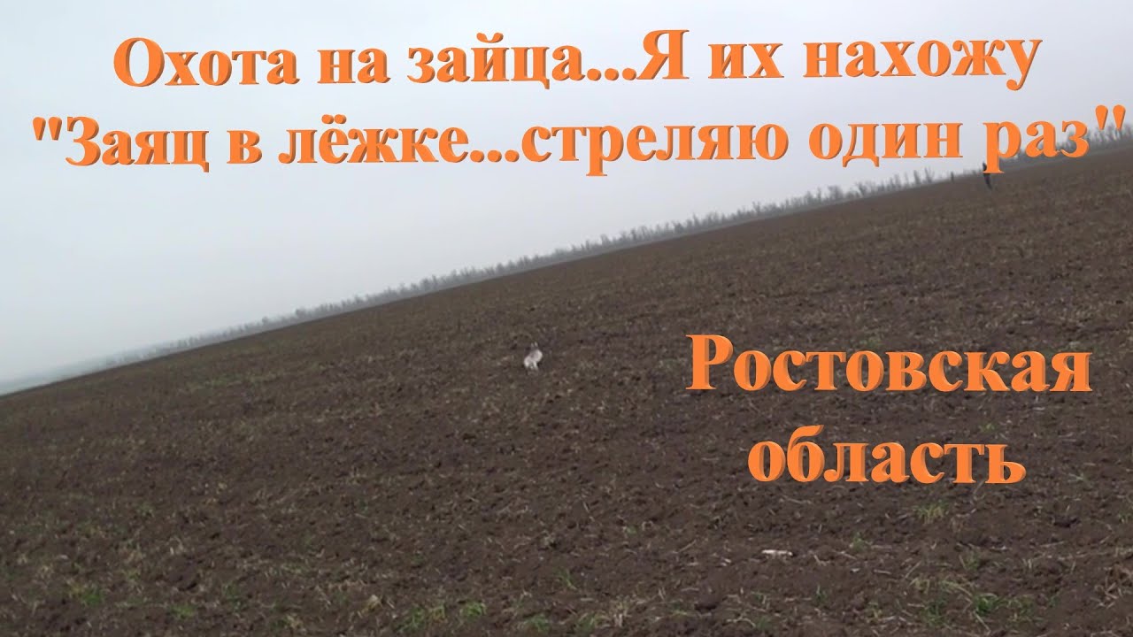 Охота на зайца...смотри я их нахожу...стреляю один раз!!!
