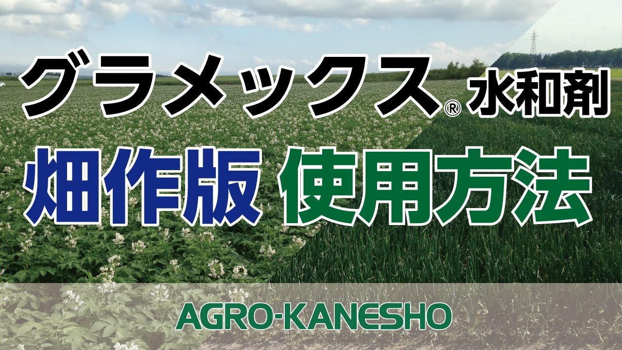 グラメックス水和剤　使用方法【畑作版】