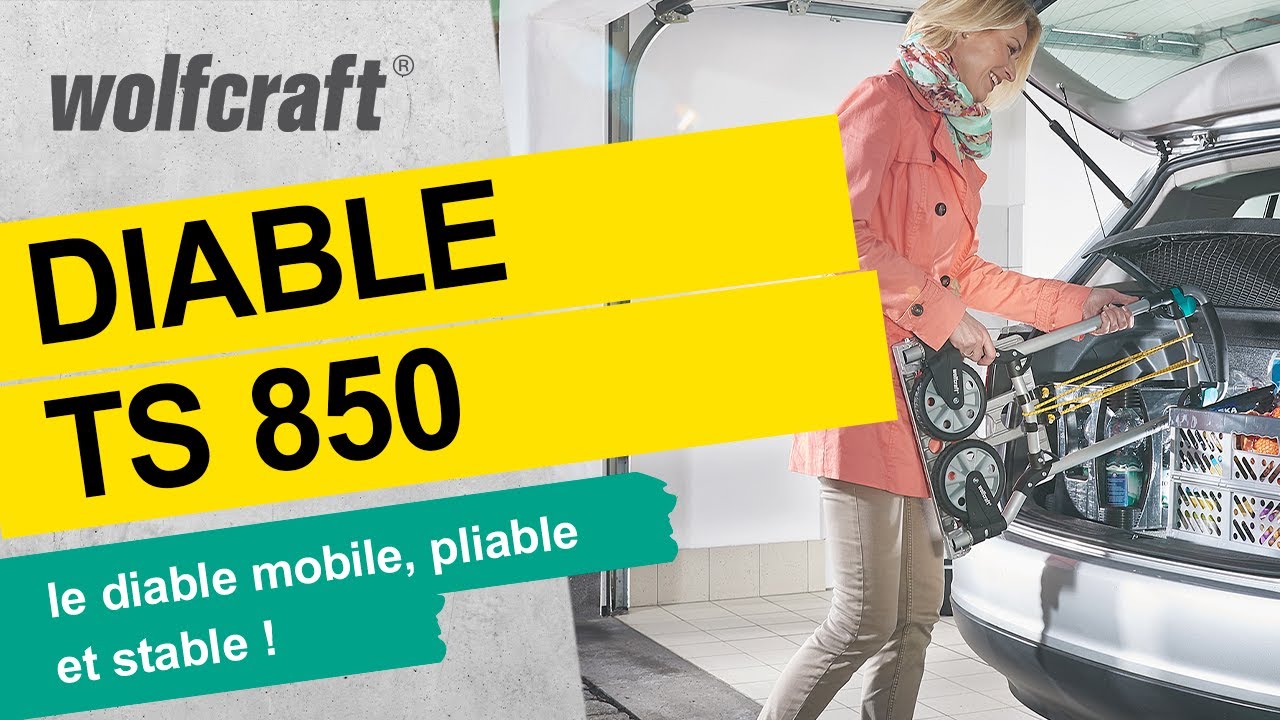 Système de transport TS 850