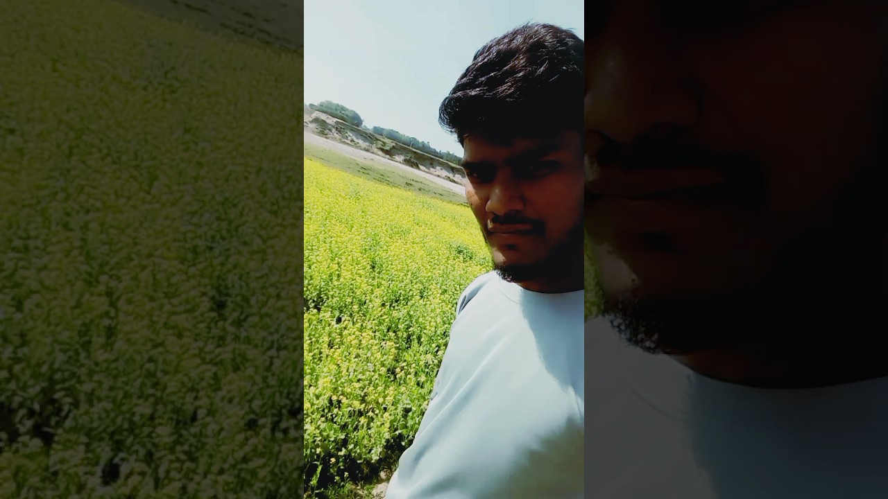 sarson ka khet me hai 🥰🤟🥀🥀🥀😳