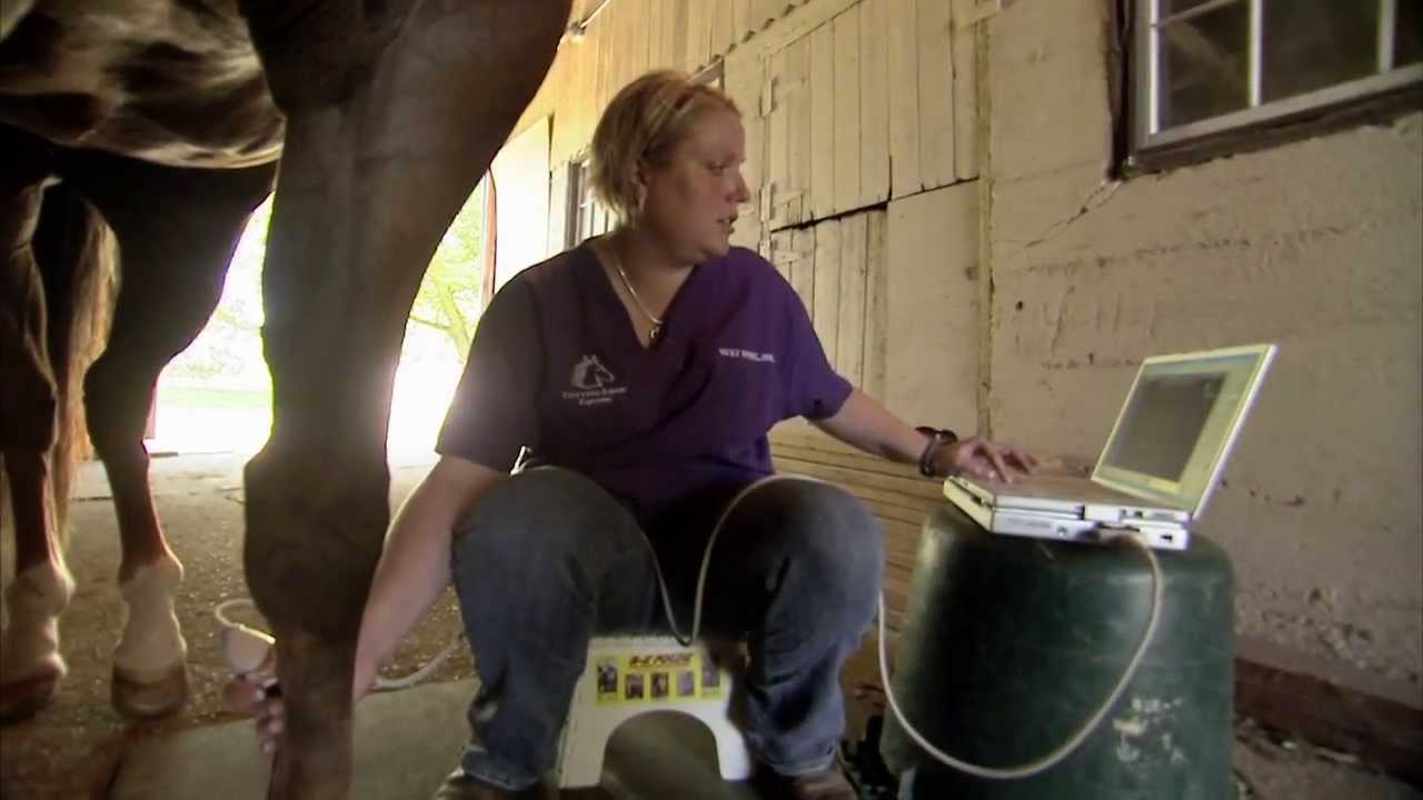 Horses - America's Heartland: Episode 902