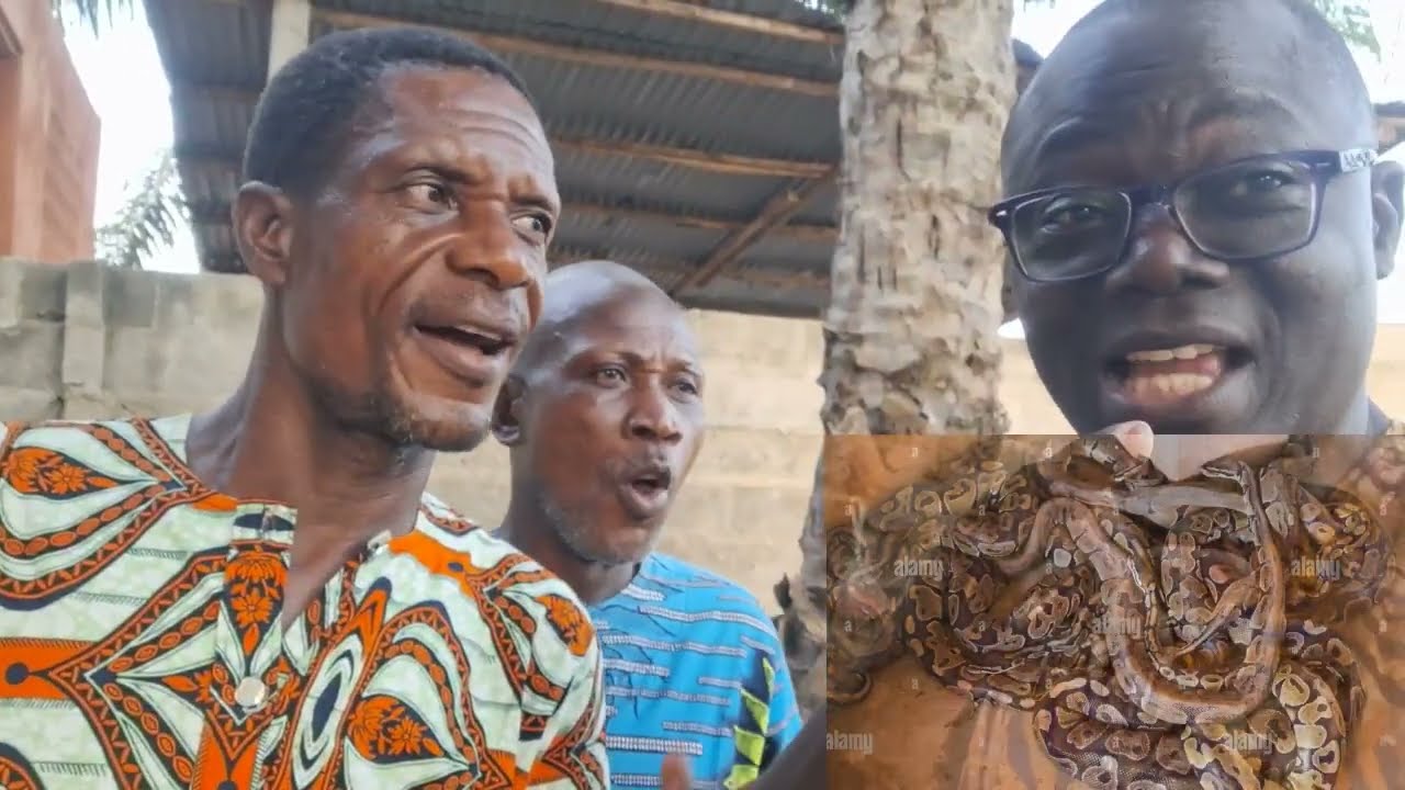 LES OUATCHI N'ADORENT PAS DANGBUI (Python)