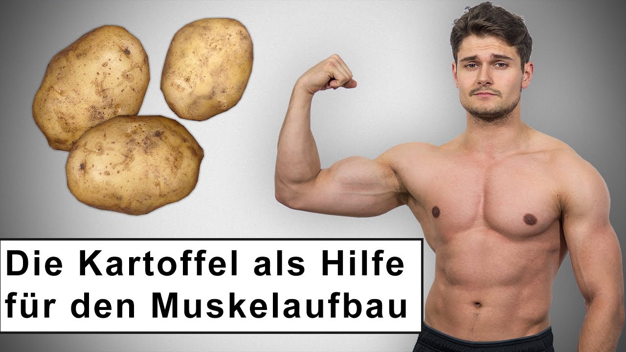 Die Kartoffel - Nährstoffreicher Unterstützer für das Muskeltraining