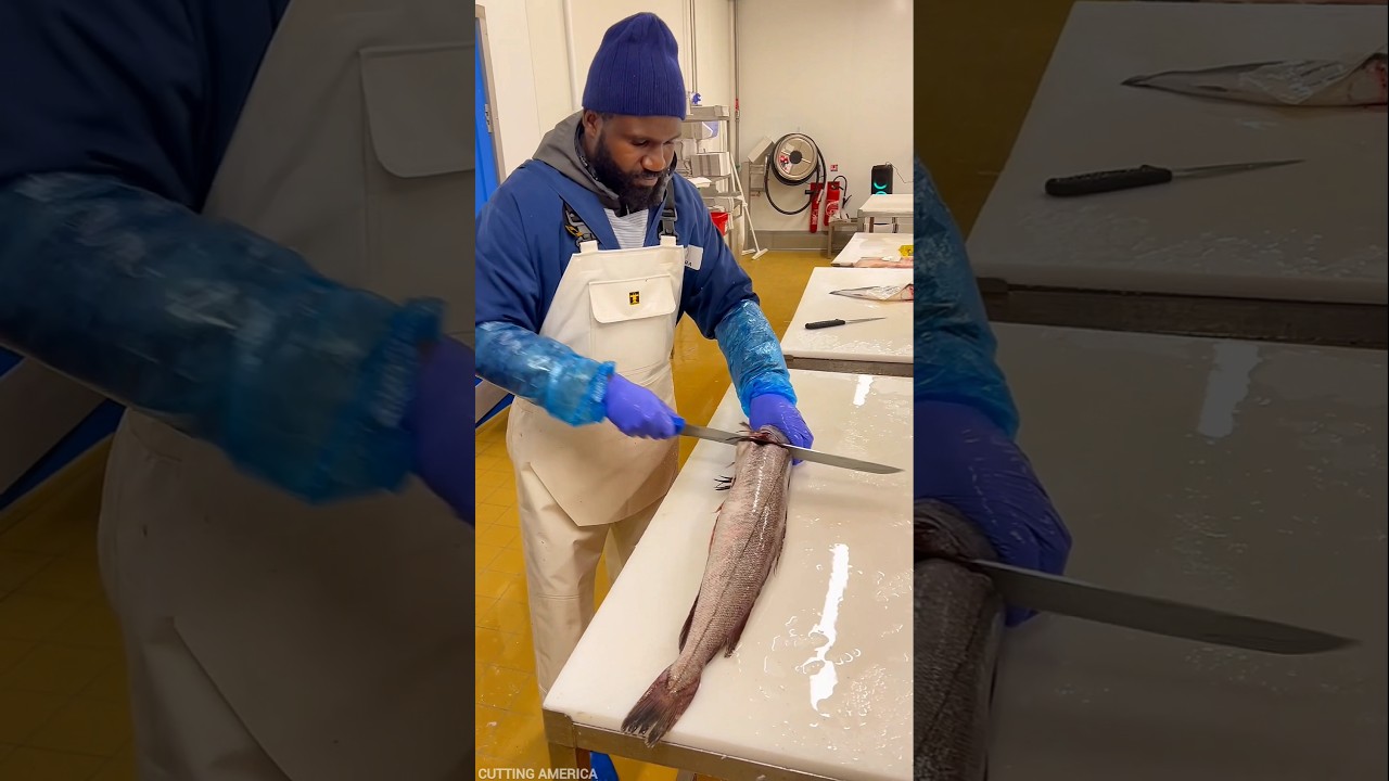 Amazing Fresh Hake Fish Cutting Live || #shorts