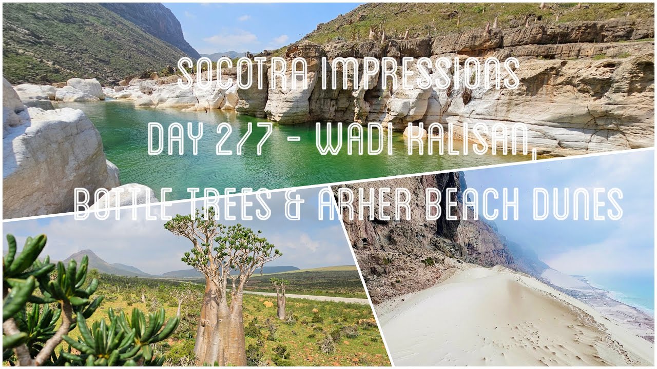 Impressions from Socotra - Day 2 of 7 - Wadi Kalisan, bottle trees & dunes of Arher beach
