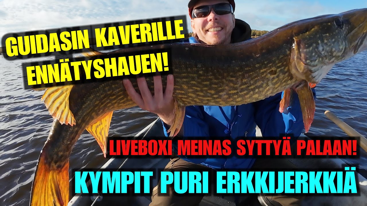 HAUEN KALASTUSTA (4K) - Kaverille reilu syksyinen ennätyshauki ja Liveluotain muuttui savupöntöksi!