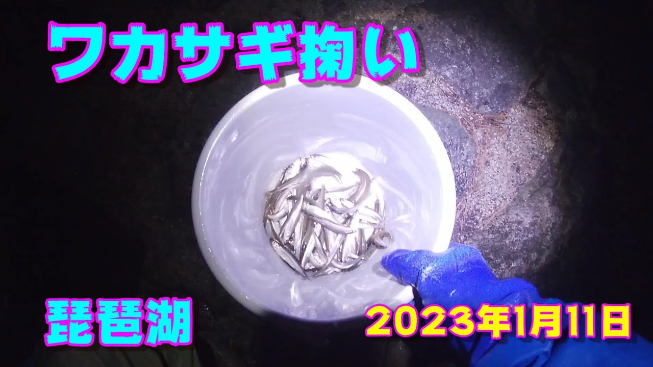 【琵琶湖ワカサギ掬い】2023年1月11日