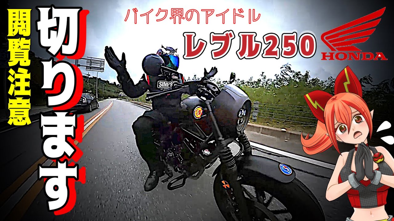 【ベタ褒めなし】レブル250を峠や高速重視でインプレする問題作