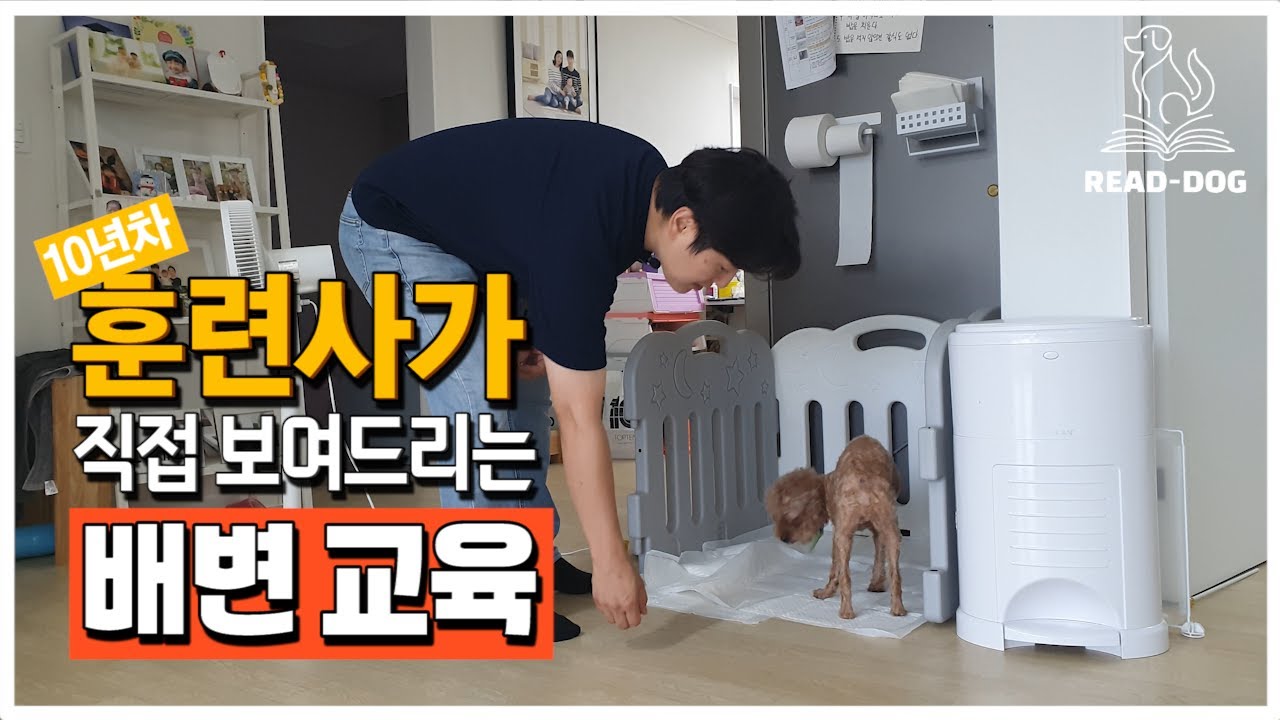 배변훈련 실패하는 진짜이유! 99%가 놓치는 핵심 1가지!