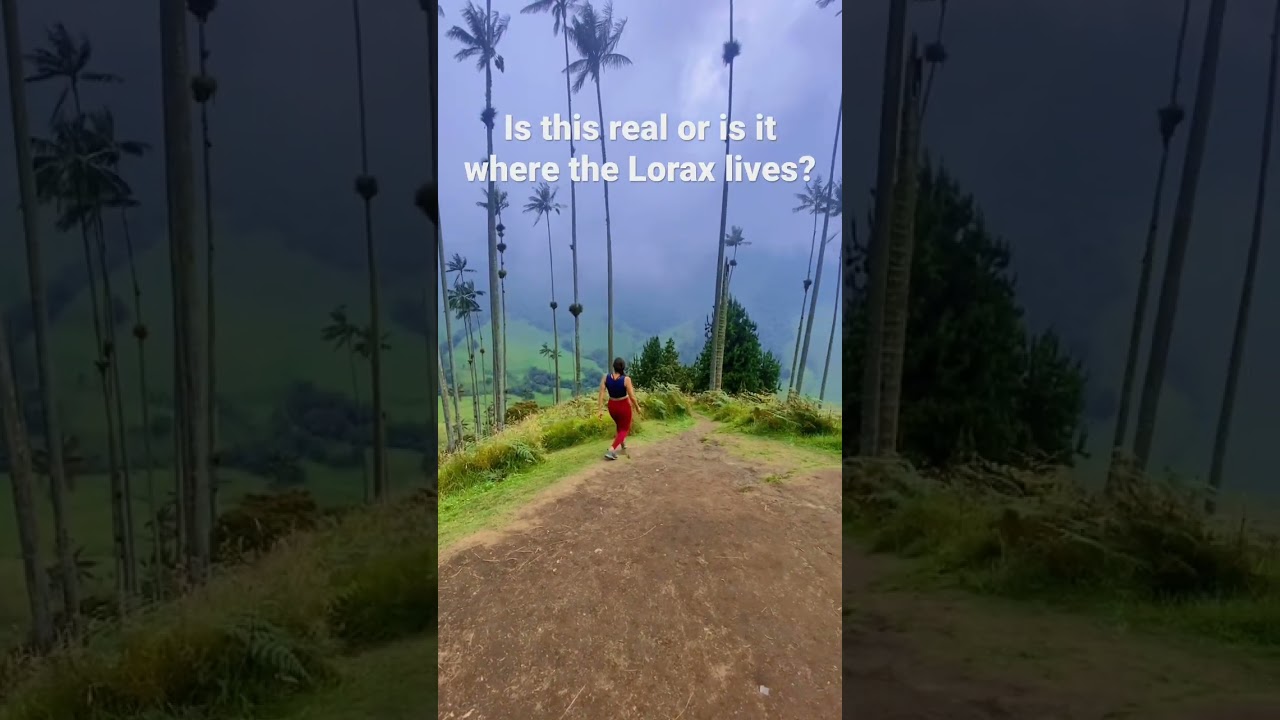 Does the Lorax live in the Cocora Valley of Colombia 🇨🇴 ? 