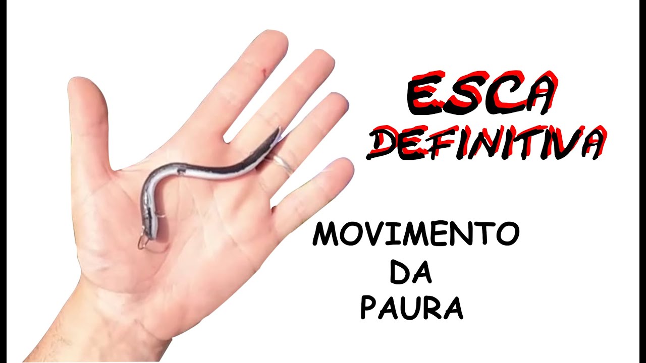L'esca  DEFINITIVA | Costruzione, Collaudo e CATTURE!