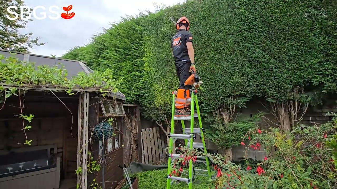 Tall Conifer Hedge Cutting in Kimberley, Nottingham | Professional Hedge Trimming