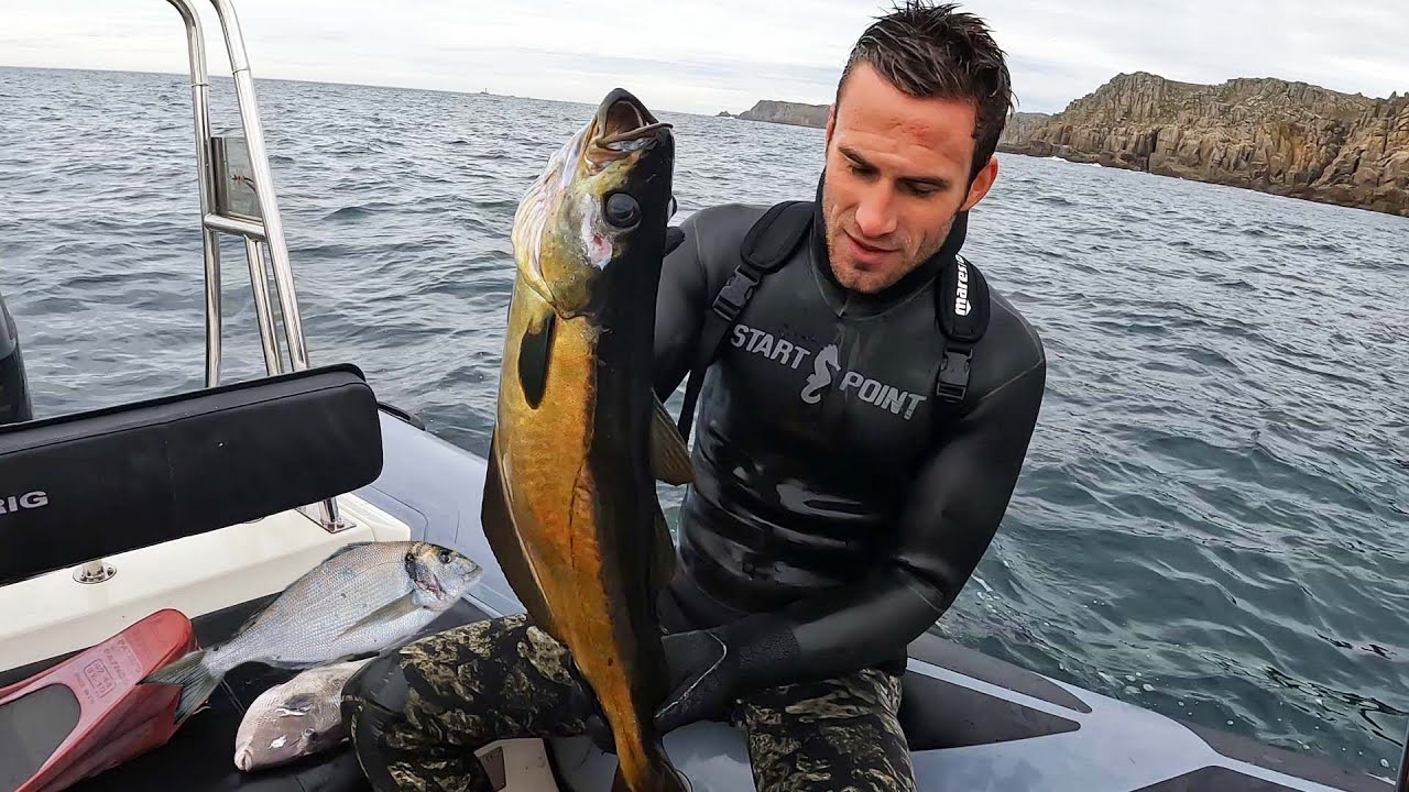 UK Spearfishing: Gilthead Bream, Triggerfish, Pollock and Bass! Catch and Cook