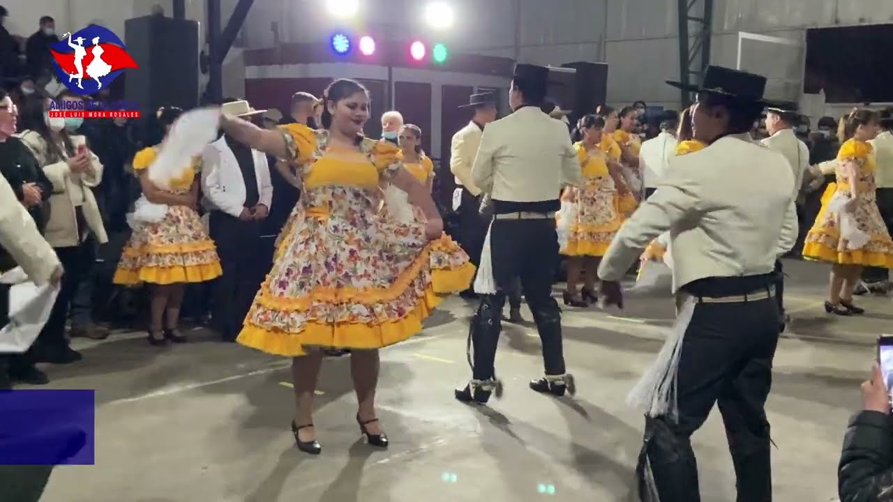 Amigos de la Cueca Bingo Quinta de Tilcoco