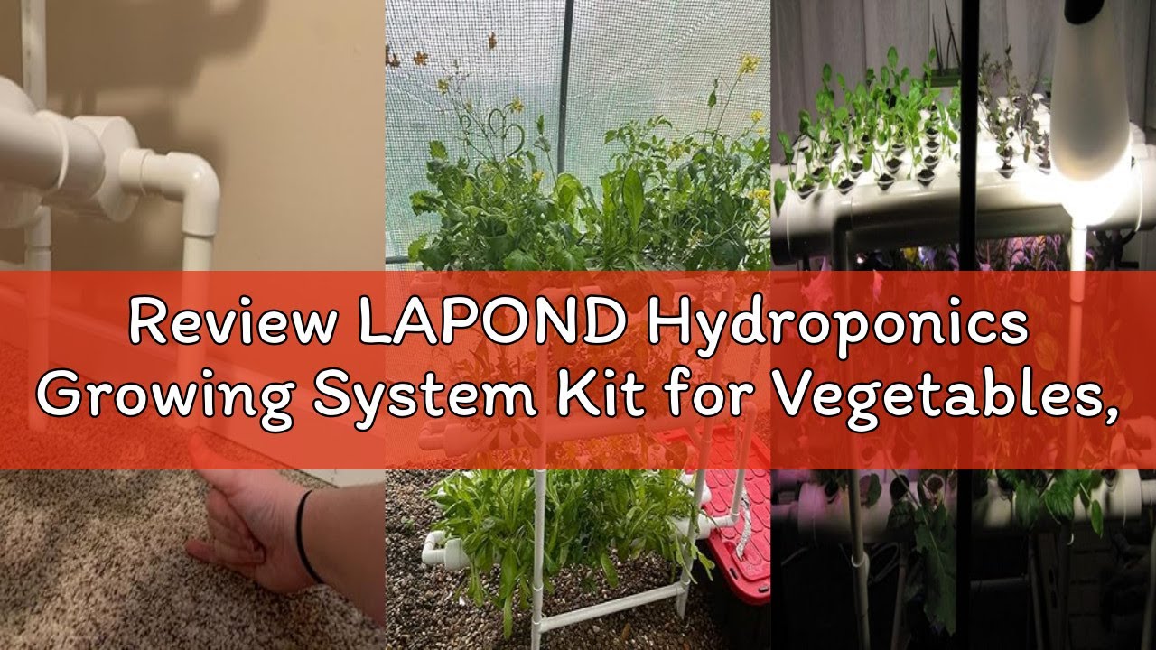 Review LAPOND Hydroponics Growing System Kit for Vegetables,Flowers Fruits and Herbs, with 108 Plant