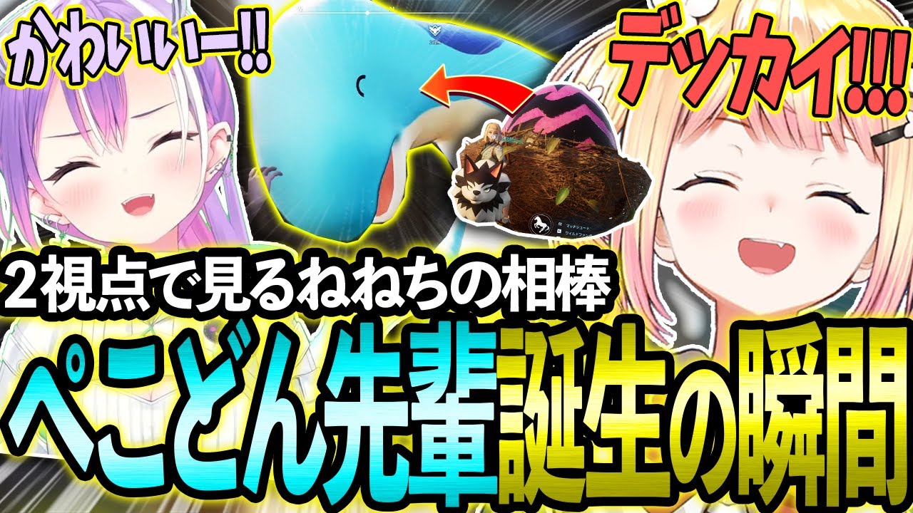 【2視点】クソデカタマゴから生まれたぺこどん先輩の可愛さに大喜びなねねち＆トワ様視点まとめ!【ホロライブ/常闇トワ/桃鈴ねね/切り抜き】【ホロ鯖Palworld】