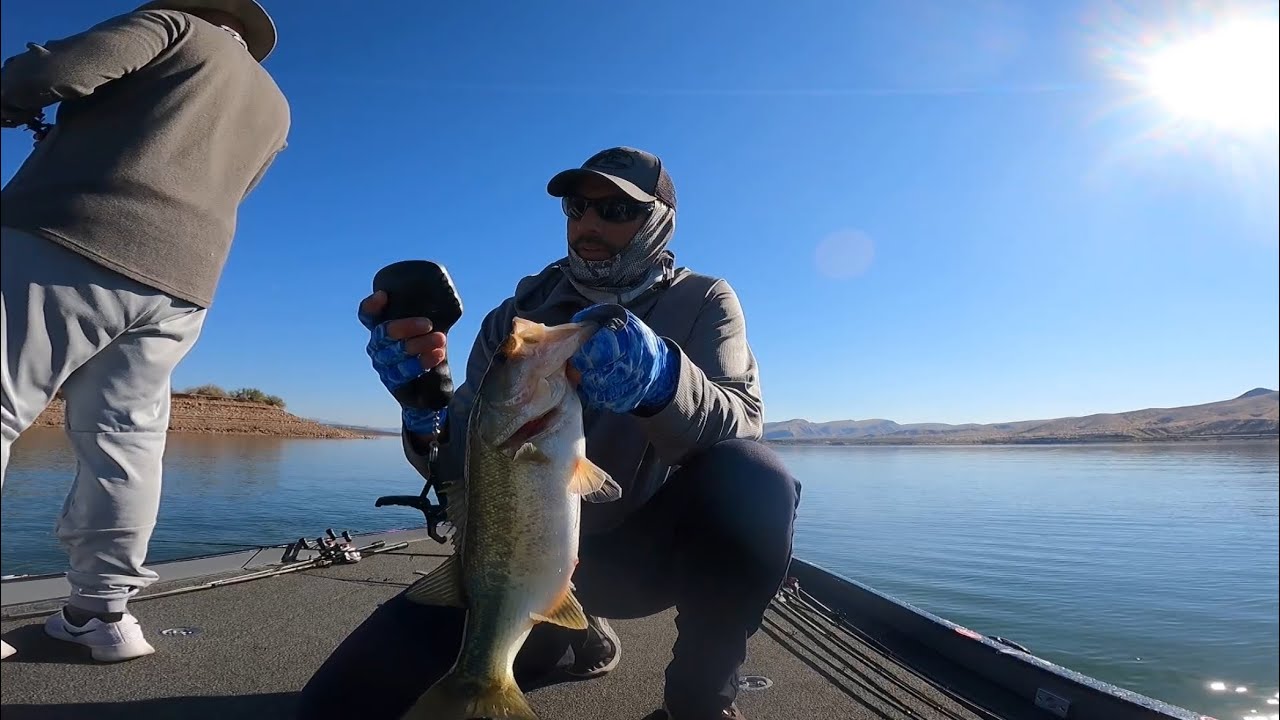 ROOSEVELT Lake WINTER Madness: Fish After Fish!