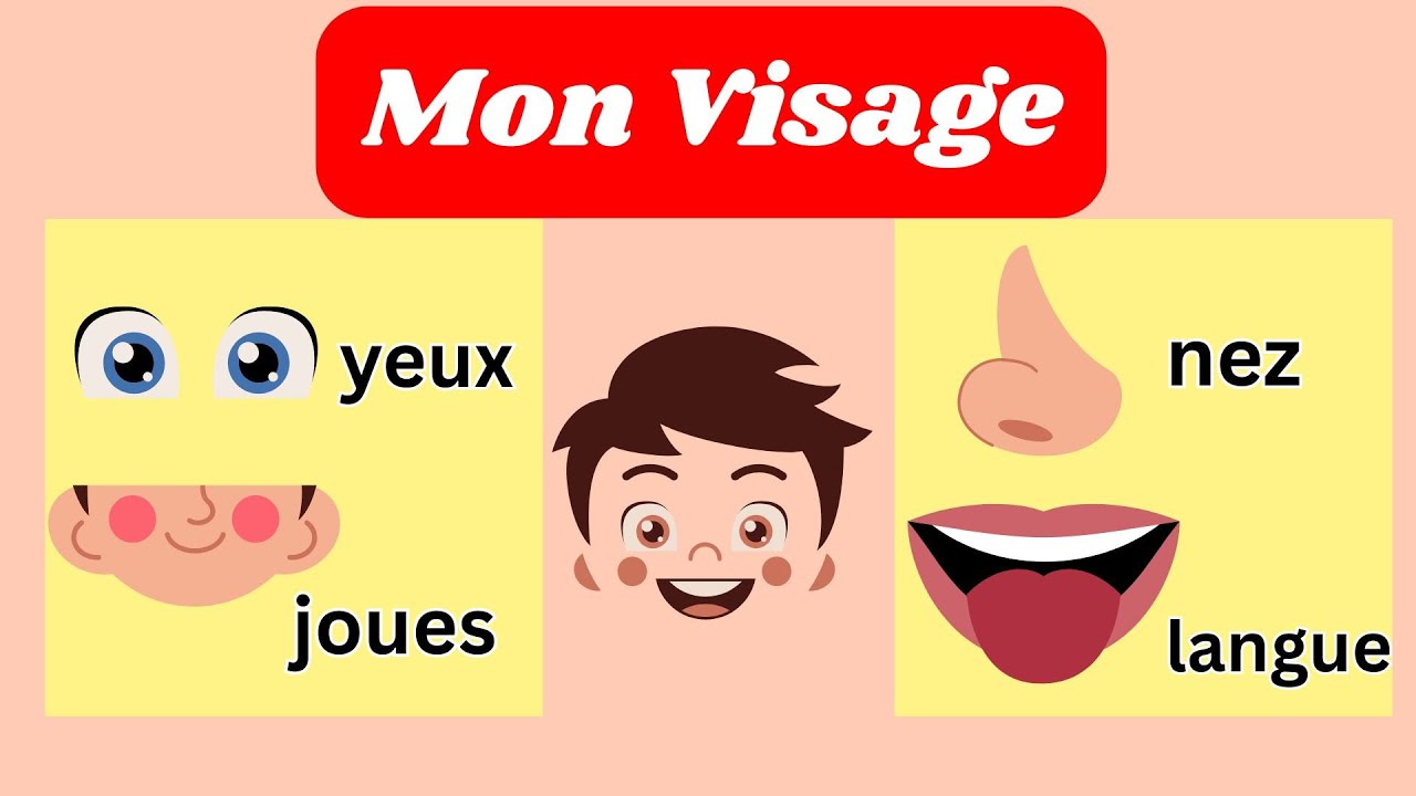 Les parties du visage | Vocabulaire pour enfants en français | Face Parts in French for Beginners