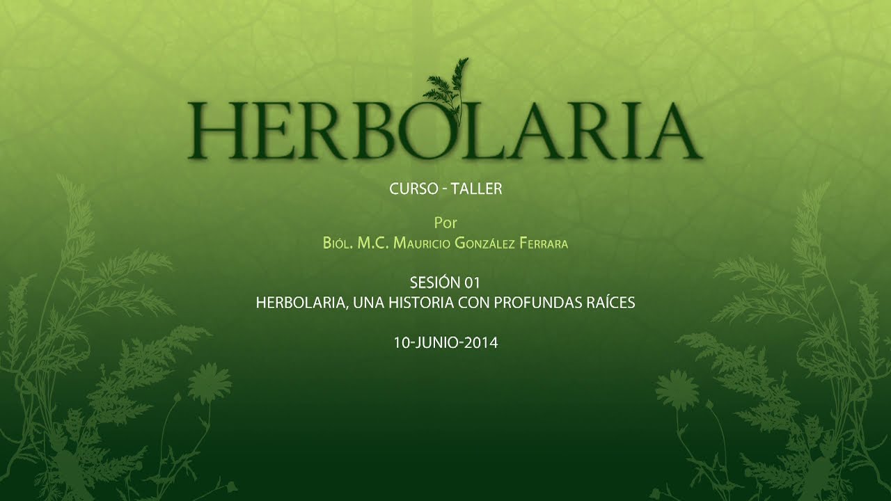 Curso de Herbolaria: Plantas Medicinales y Usos Tradicionales | Bi&oacute;logo Mauricio Gonz&aacute;lez #1