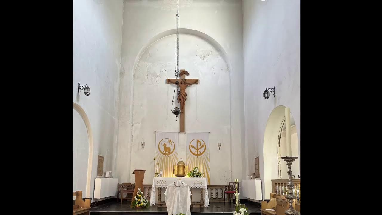 Our Lady of Peace, Newbridge -  The Most Holy Trinity Sunday Mass -  12/06/2022