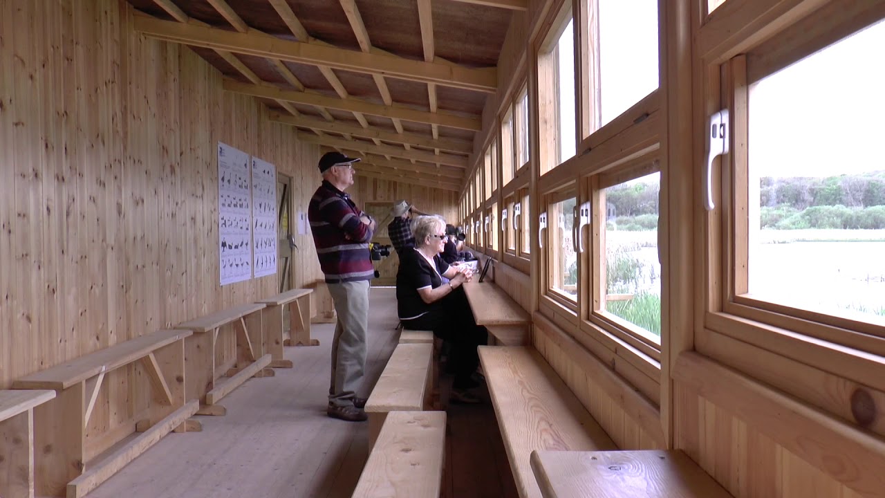 Leighton Moss