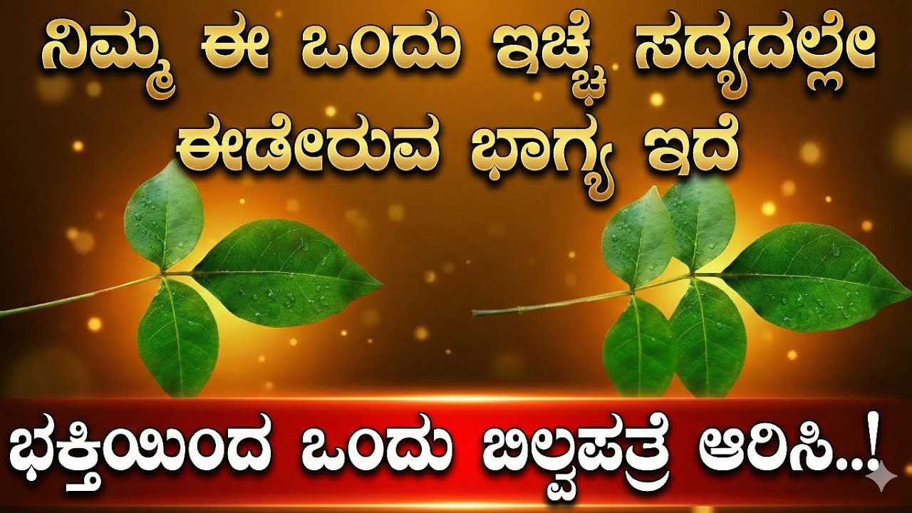 ಇದರಲ್ಲಿ ಒಂದು ಬಿಲ್ವಪತ್ರೆಯನ್ನು ಆರಿಸಿ ಹಾಗೂ ಸದ್ಯದಲ್ಲೇ ಸಿಗುವ ಸಿಹಿ ಸುದ್ದಿಯ ಬಗ್ಗೆ ತಿಳಿಯಿರಿ | Divine kannada