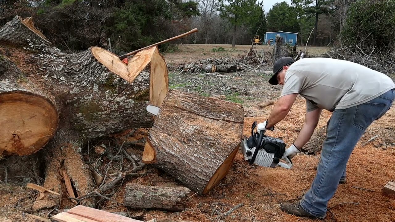 Ported Chainsaws Ripping Firewood vs Stock 281 G660