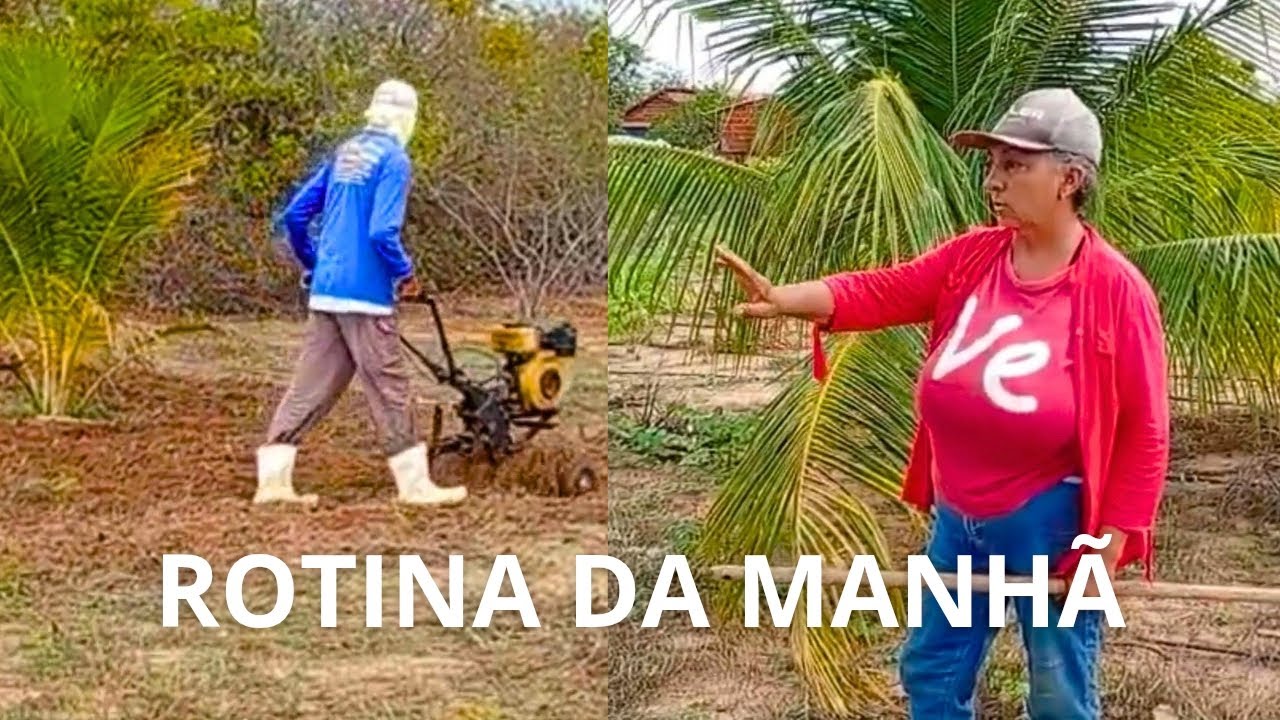 PREPARANDO SOLO PARA PLANTAÇÃO| A LIDA NO SÍTIO 