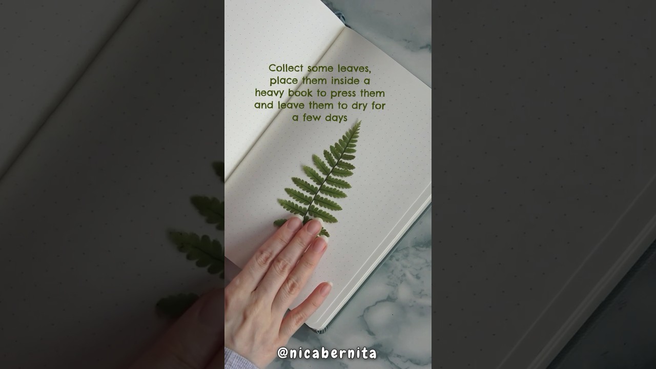 DRY LEAF STICKERS  