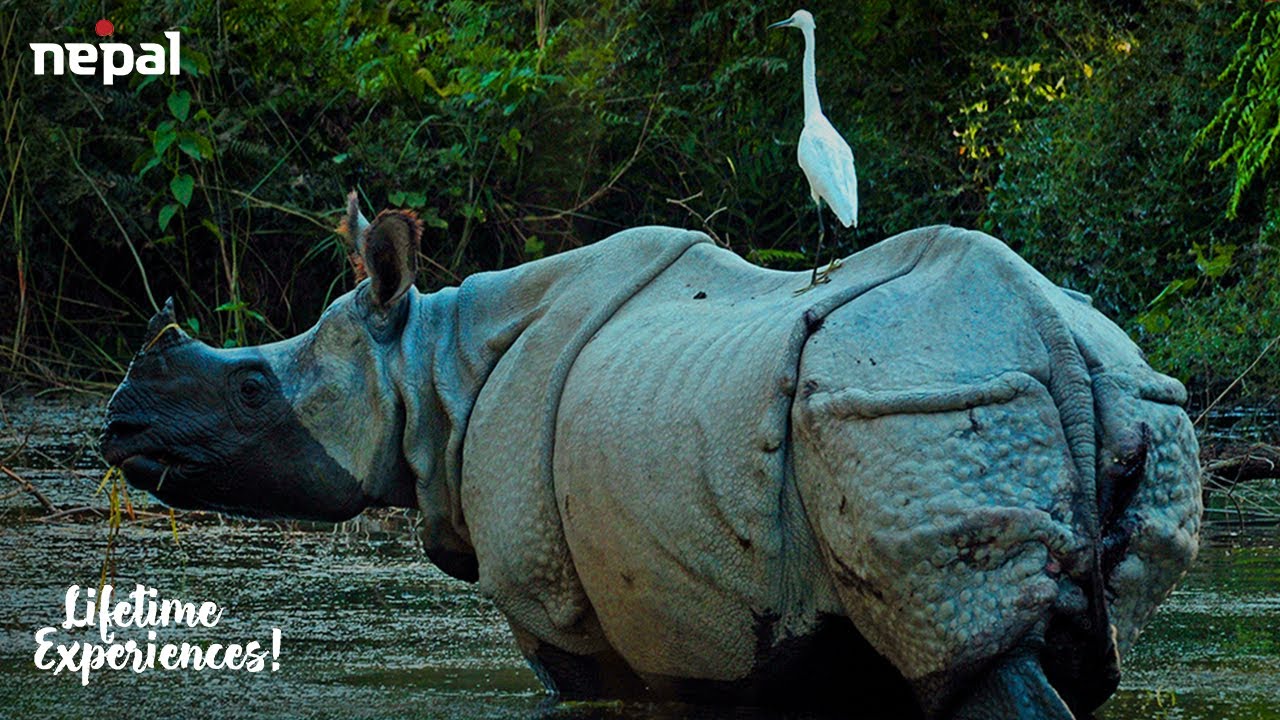 Bardiya| Nepal Tourism Board