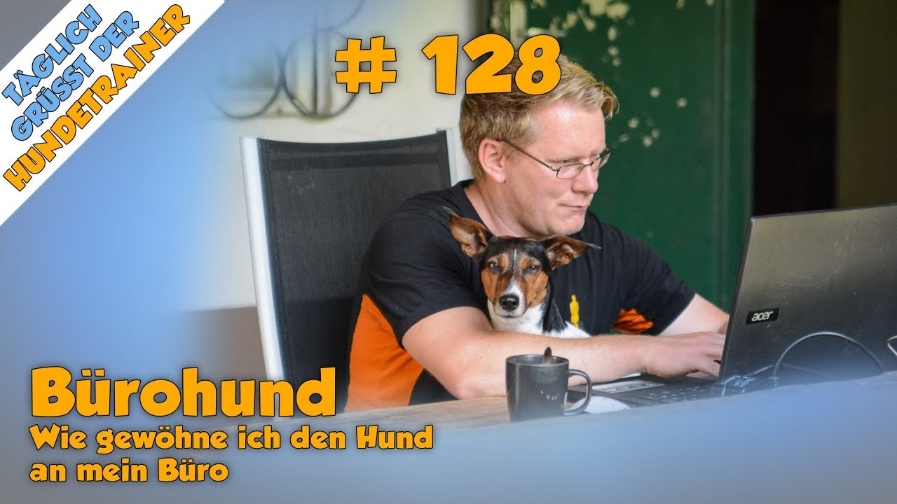 TGH 128 - Hund ans Büro gewöhnen - Bürohund - Hundeschule Stadtfelle
