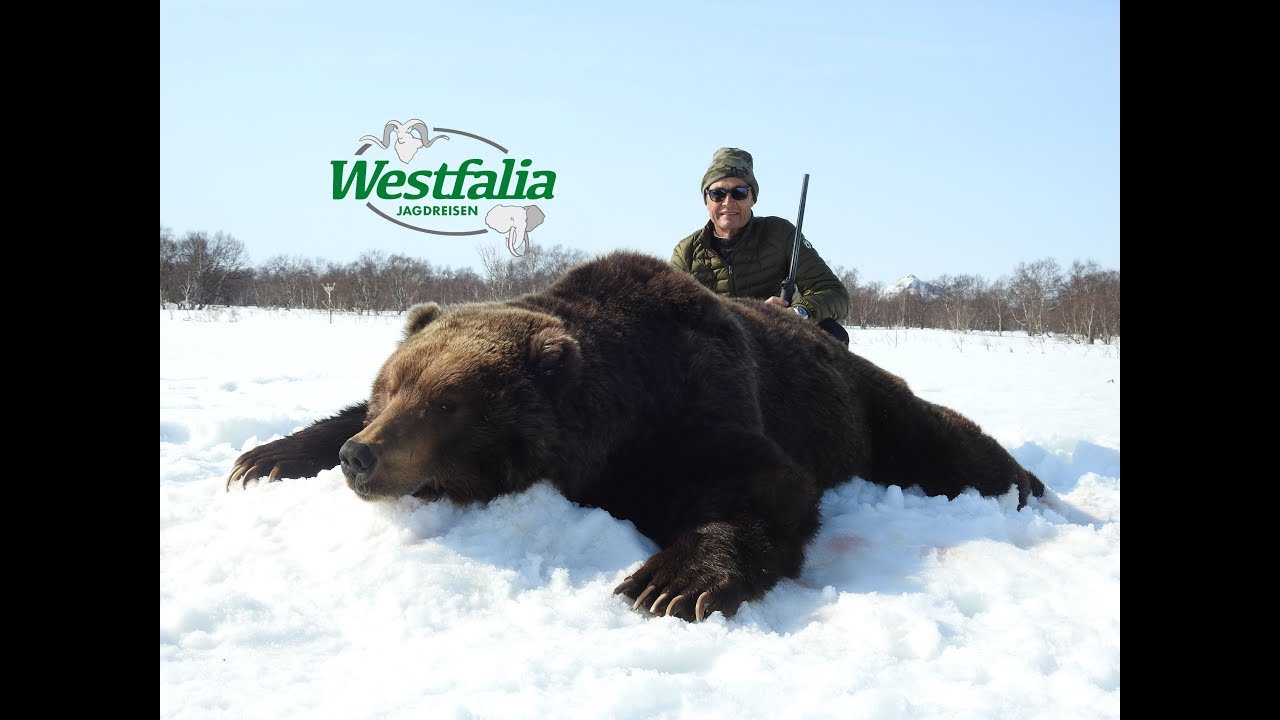 Bärenjagd auf Kamtschatka mit Westfalia Jagdreisen - Teil 1