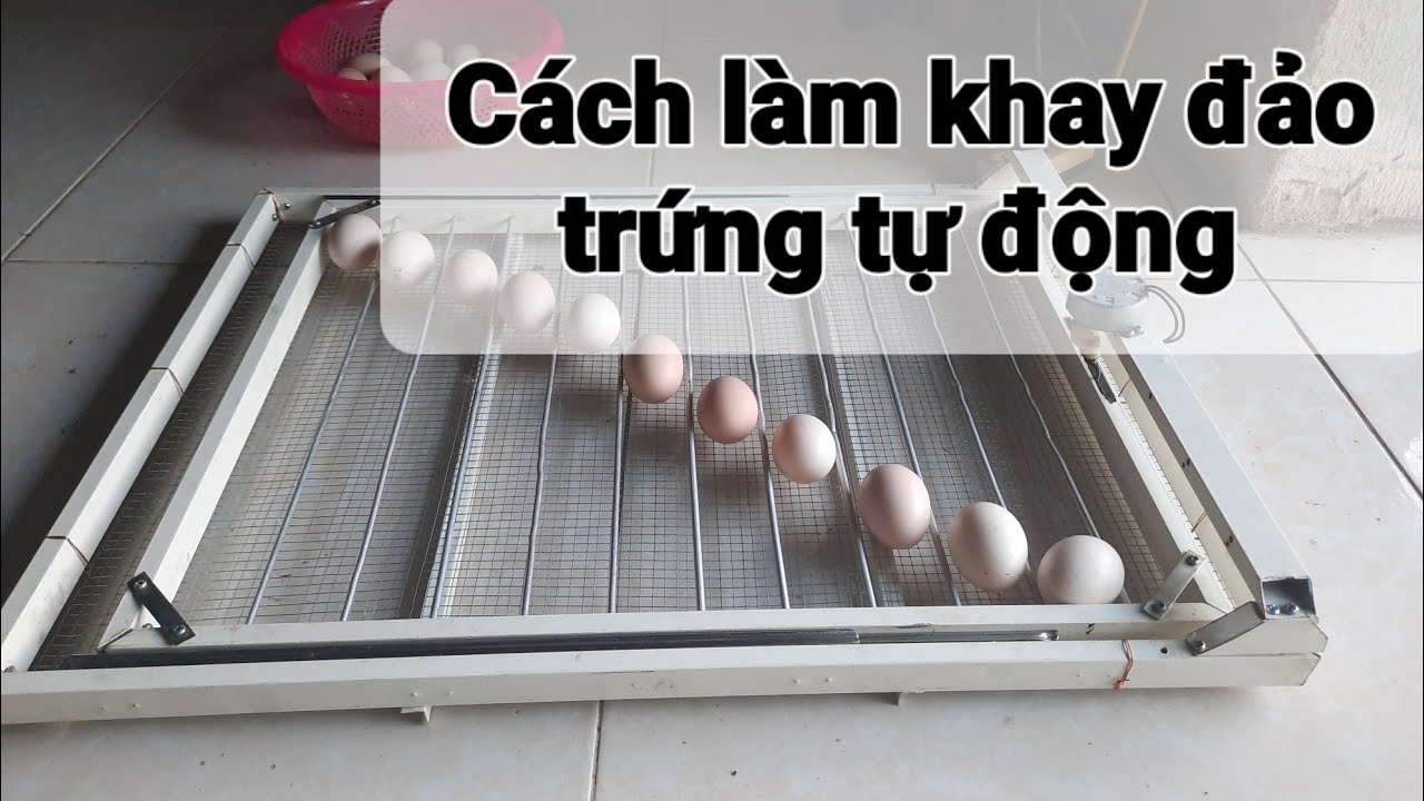 cách làm khay đảo trứng tự động, khay đảo lăn