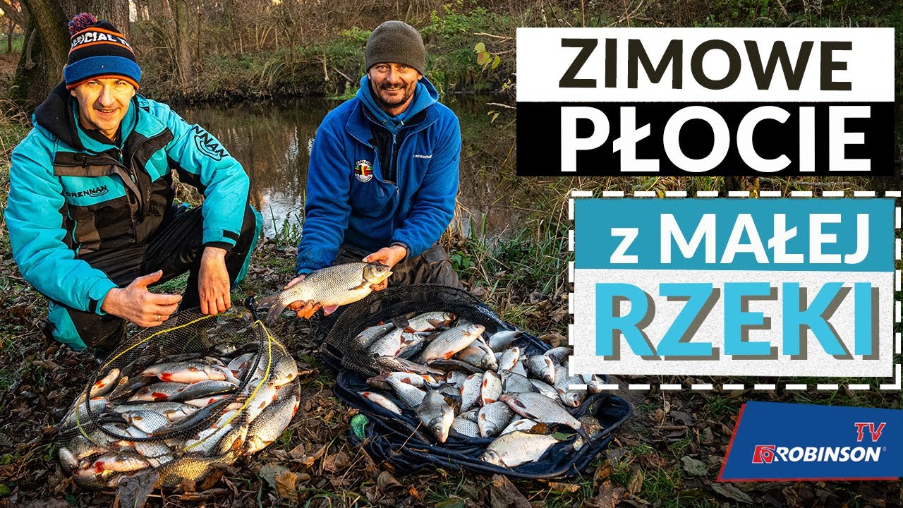 Sposób na jesienno-zimowe ryby z małej rzeki! Duże płocie na spławik. Płociowy zestaw Pawła Wlazło.