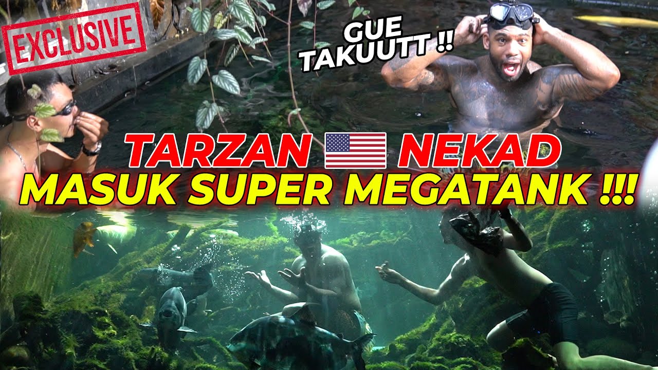 HIST3RIS !!! PERTAMA KALI ADA TARZAN AMERIKA NYELAM DI SUPERMEGATANK !!! BEGINI REAKSINYA...