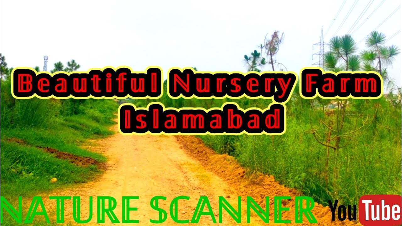 Nursery Farm|PWD pakistan|Islamabad|Pakistan tourism videos|Best Place|Love Nature|Travelling|