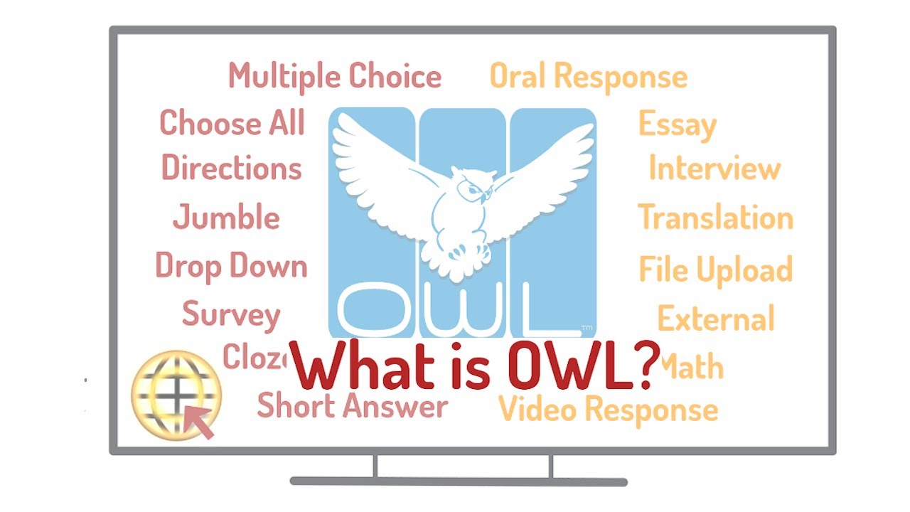 What is the OWL Test Management System?