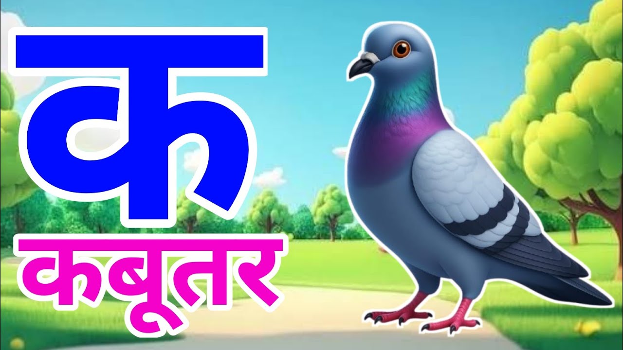 क से कबूतर , अ से अनार a se anaar k se kabutar |Hindi varnmala | ABCD क से कबूतर अ से अनार,for kids