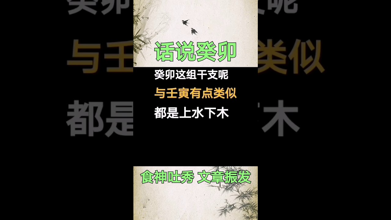 癸卯干支解读