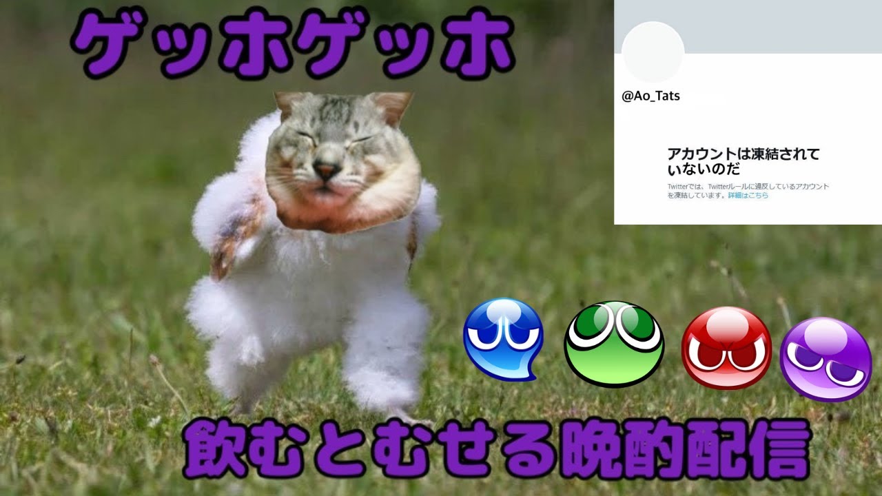 【Switch版ぷよぷよテトリス２】パズルリーグもぐりながら・・・　　 #ぷよぷよテトリス２　#Shorts