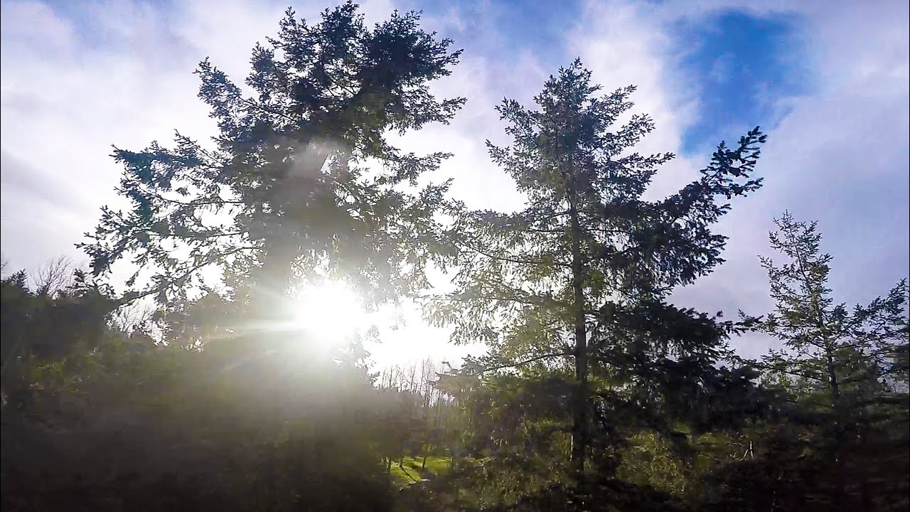 Pushing The Limits - FPV FREESTYLE-DRONE RACING-LRC RACER