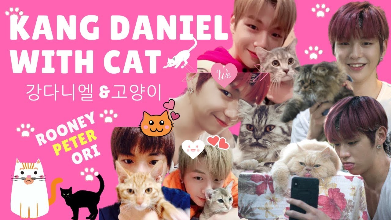 🍑 강다니엘 &고양이 🐱 : Kang Daniel with Cat [Cat Lover] 🧡 강다니엘의 고양이 귀엽도